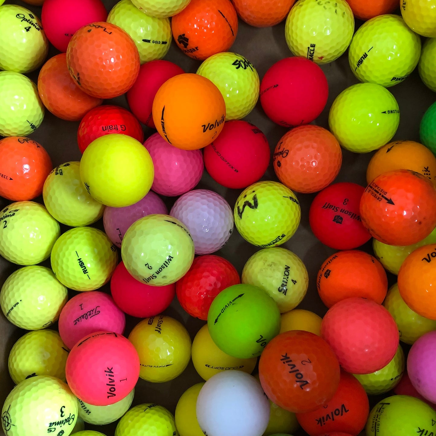 12 Economy Colour Mix